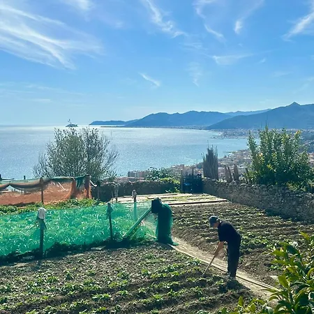 Orizzonte Blu - Verezzi Sea View Apartment Borgio Verezzi